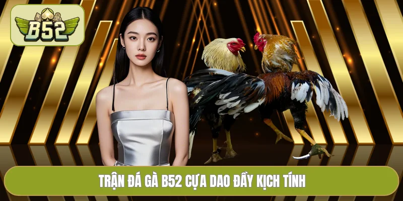 Trận đá gà B52 cựa dao đầy kịch tính