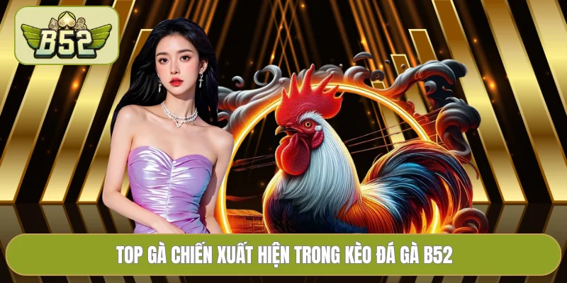 Top gà chiến xuất hiện trong kèo đá gà B52