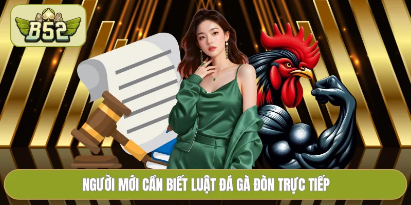 Người mới cần biết luật đá gà đòn trực tiếp
